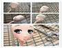 翻糖人偶蛋糕的做法图解1