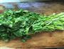 牛肉香菜的做法图解3