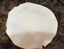 家常肉饼的做法图解6