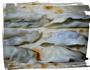 小白菜虾仁饺子的做法图解10