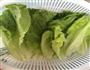 油淋蒜香生菜的做法图解2