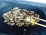 鲜香花蛤的做法图解4