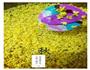 桂花酿/桂花蜜的做法图解1