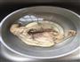白切鸡的做法图解5