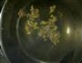 五花肉土豆片的做法图解5