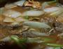 辣椒牛肉焖萝卜的做法图解7