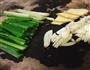 豆酱焖鸡腿的做法图解1