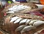 劲道韭菜猪肉水饺的做法图解4