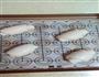 蔓越莓面包卷的做法图解8
