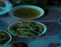 美味一餐的做法图解5