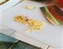 虾仁炒月亮菜的做法图解1