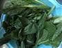 香菇菜心的做法图解1