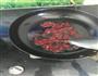 麻婆豆腐的做法图解3