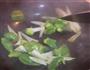 脆骨菜椒-快手菜的做法图解6