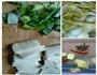 猪肉白菜炖粉条的做法图解1