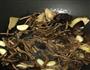 茶树菇焖罗汉果鸭的做法图解5
