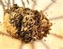 山药糟菜饭的做法图解3