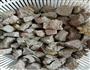 番茄烧牛肉的做法图解1