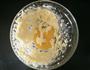 樱花抹茶曲奇的做法图解2