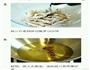 蒜香鸡爪的做法图解6