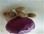 素炒紫甘蓝的做法图解1