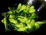 香菇扒菜胆的做法图解11