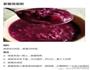 紫薯合集的做法图解7