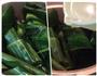 伯利兹美食Tamale的做法图解14