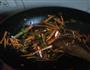 鱼香肉丝的做法图解7