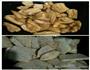 香芋扣肉的做法图解3