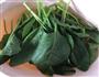 呛拌菠菜的做法图解1