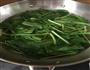呛拌菠菜的做法图解4