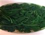 呛拌菠菜的做法图解5
