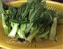 广东菜-盐水浸菜心的做法图解1