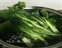 广东菜-盐水浸菜心的做法图解5