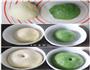 双色抹茶蜜豆面包的做法图解3