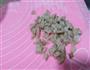 鲜香灌汤小笼包的做法图解18