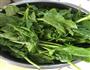 麻酱菠菜的做法图解1