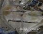清蒸多宝鱼的做法图解5