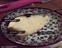 魔术奶冻蛋糕的做法图解10