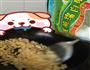 蛋包果的做法图解3
