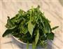 蒜炒菜心的做法图解3