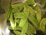 蒜蓉荷兰豆的做法图解2