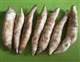 竹薯南北杏瘦肉汤的做法图解5