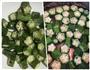 马其顿经典“炖菜”Turli tava的做法图解3