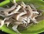 炸平菇的做法图解1