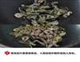 茄汁拌面的做法图解5