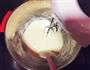 乳酪纸杯蛋糕的做法图解1