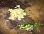 红烧酱香芋头的做法图解2