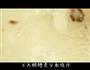 醪糟汤圆的做法图解2